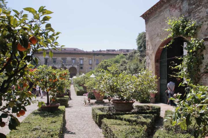 Artigianato-e-Palazzo-2014-4
