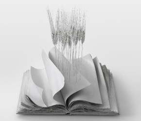 web 7