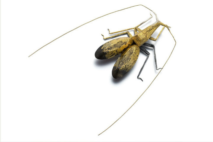 web 1