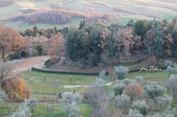 Radicondoli pianetto e boschetto visti dal paese