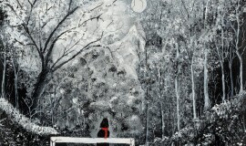 la ragazza del bosco - 30x30