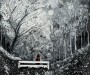 la ragazza del bosco - 30x30