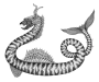 web A.Fioratti_Terra incognita_Hippocampus 2024_100x70 cm