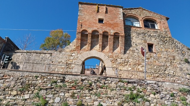 web porta Olla. Radi