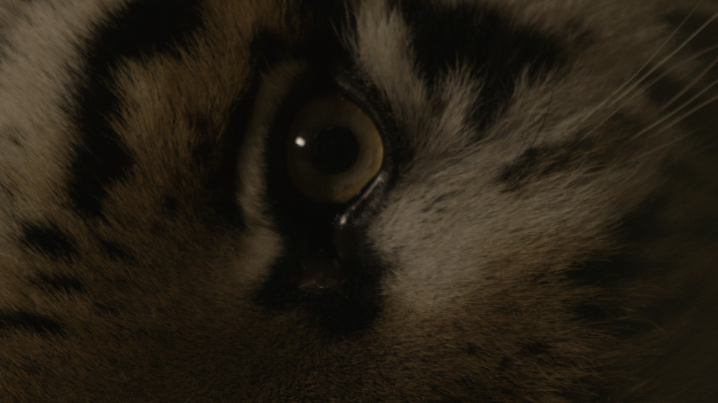 web THE_HAUNTED_Still004